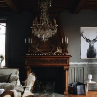 salon scandinave