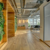 salle de coworking décorer de bois