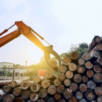 une scierie en journée 