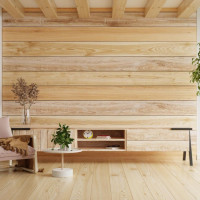 Salon lumineux avec mur en bois, mobilier contemporain et plantes
